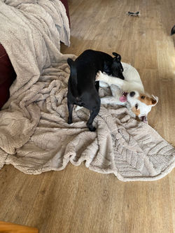 d747f082ed765f3efa23f16b567fc139