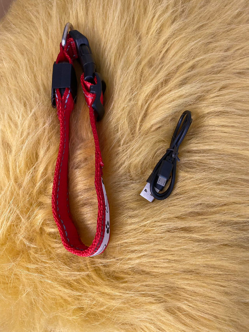 Thumbnail: Reflective LED Rechargeable Dog Collar – Bone Pattern