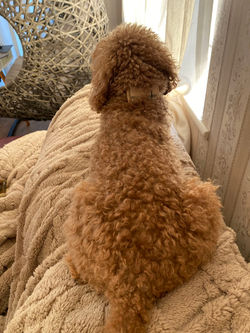 880c79cbd165e0f3c4e377348b57840a