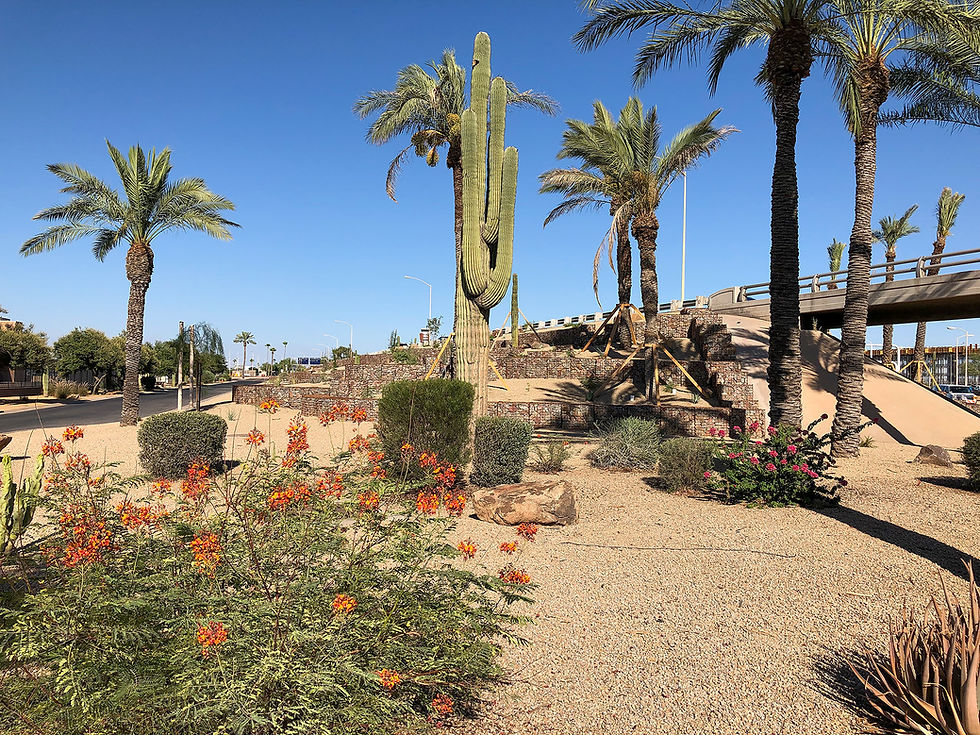 Water Conservation is a PHX Priority