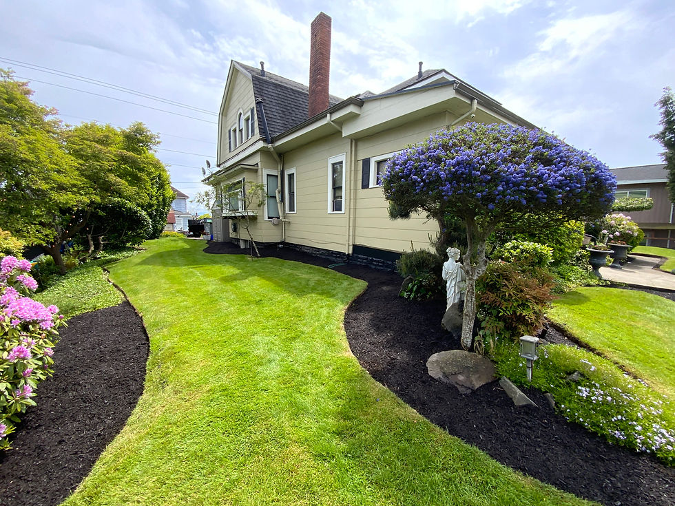 Colby side yard
