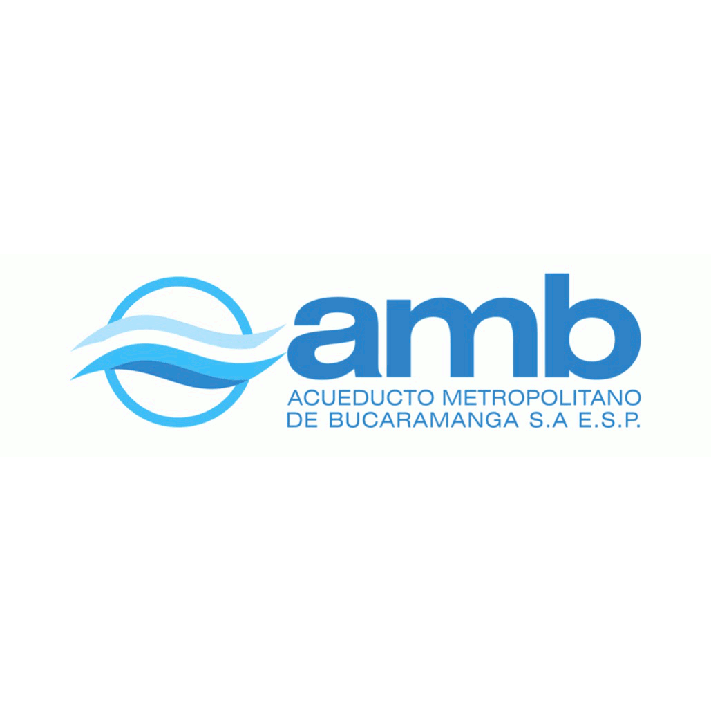 Logo amb.gif