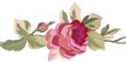 fleur-transition.png