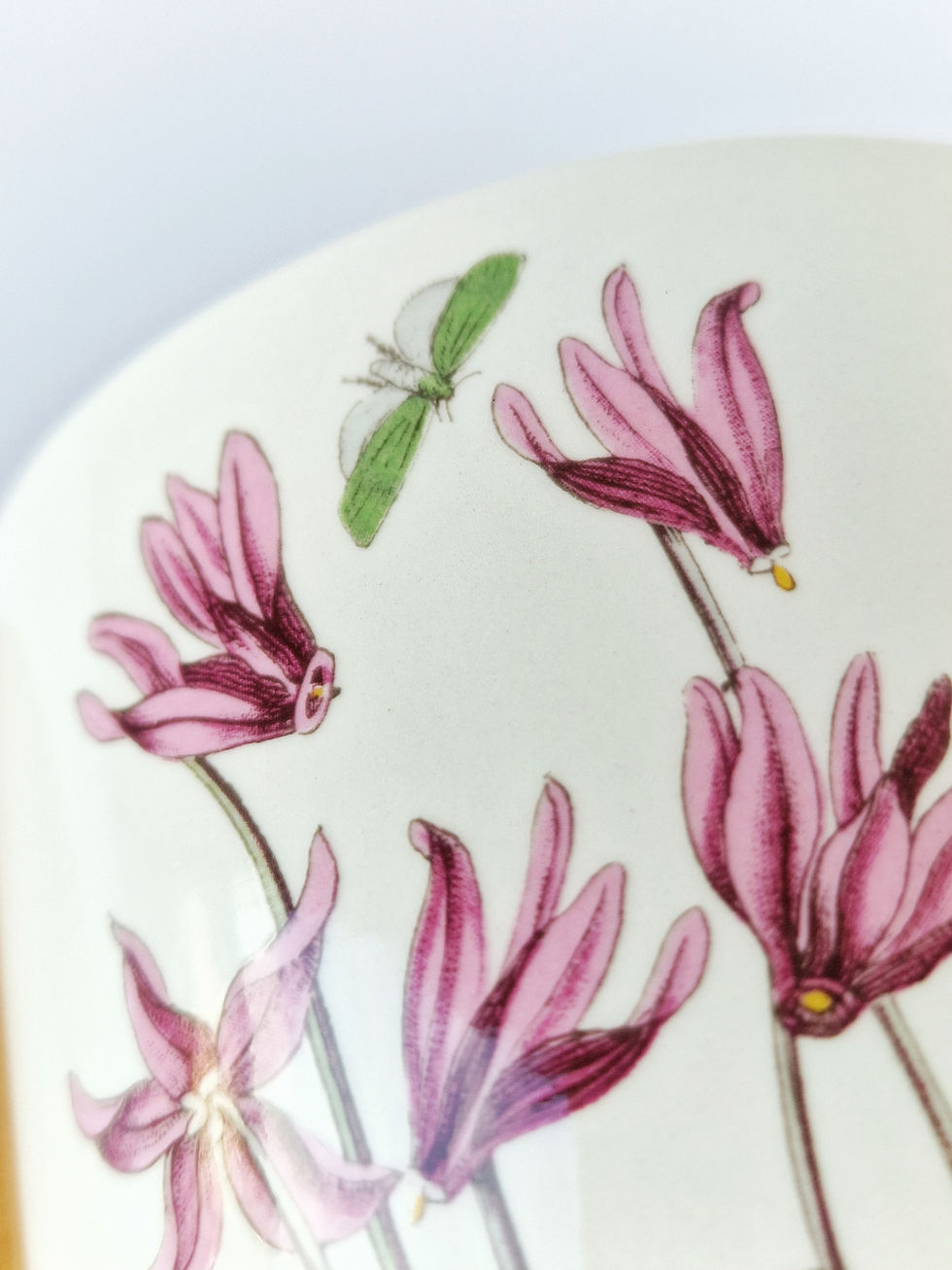 Miniature : Bocal conservation "The Botanic Garden" Portmeirion