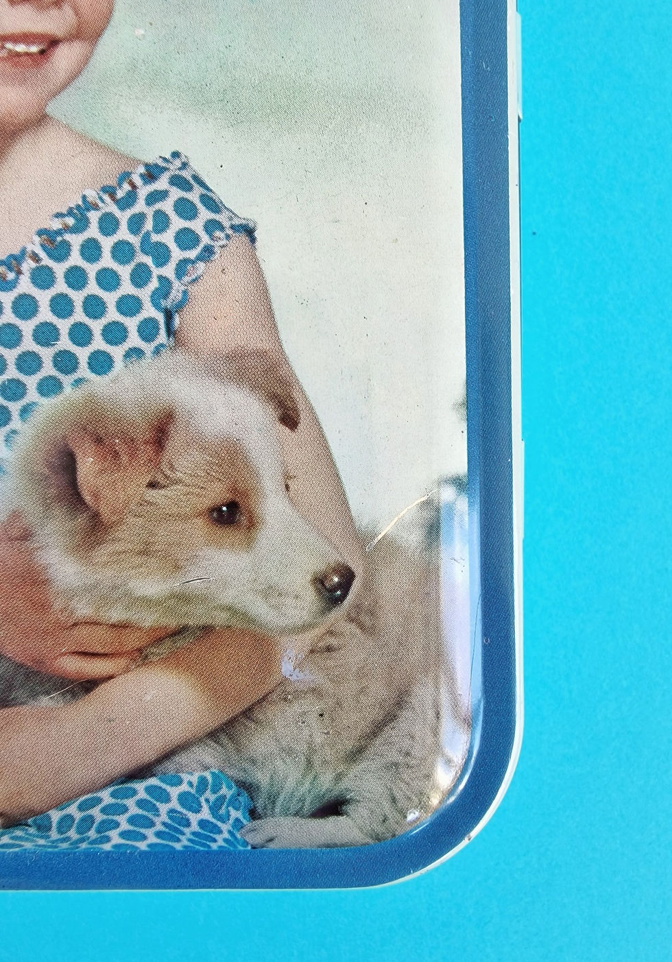 Thumbnail: 50's Metal Box Child and Dog