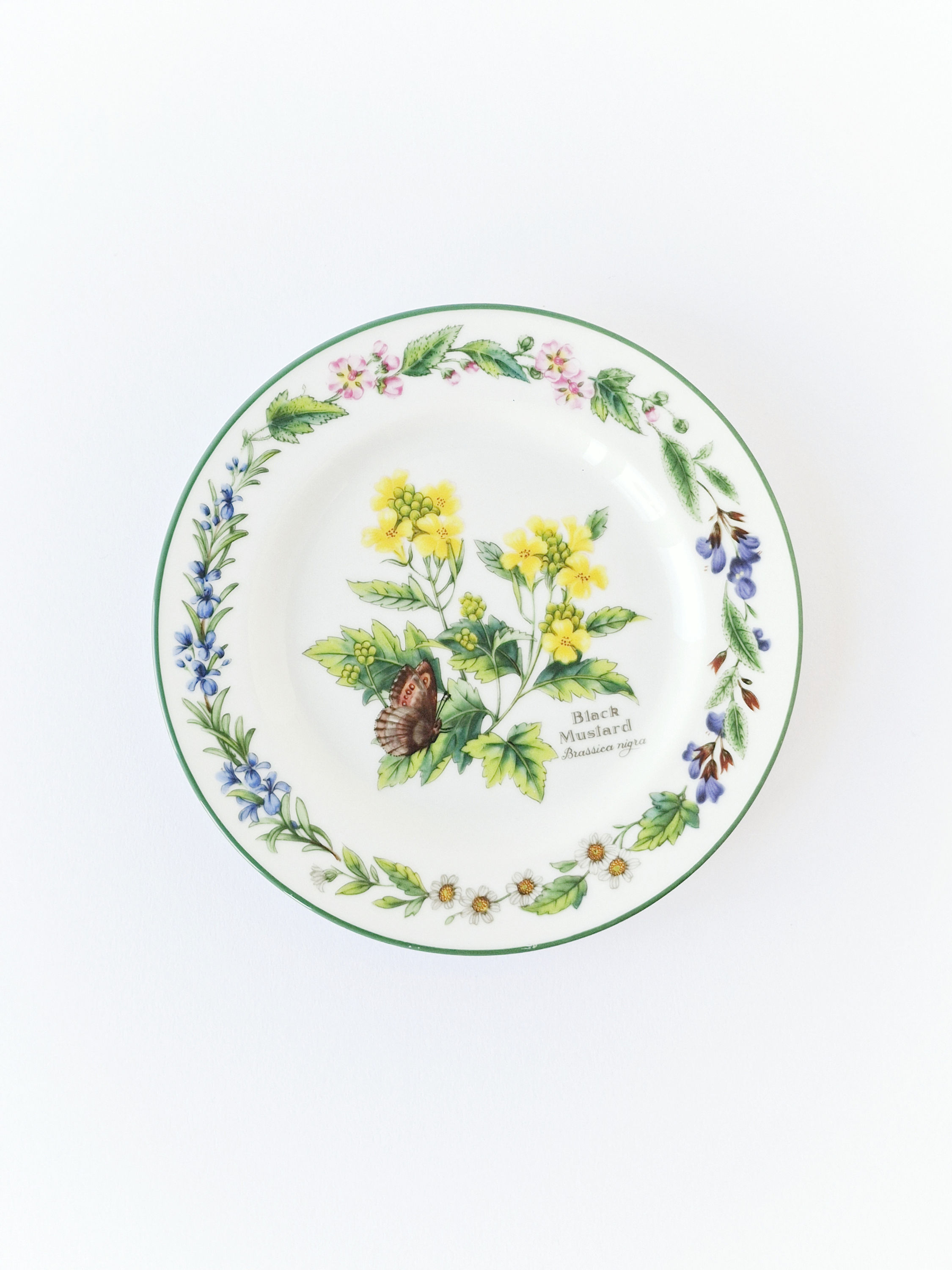 Assiette botanique Royal Worcester
