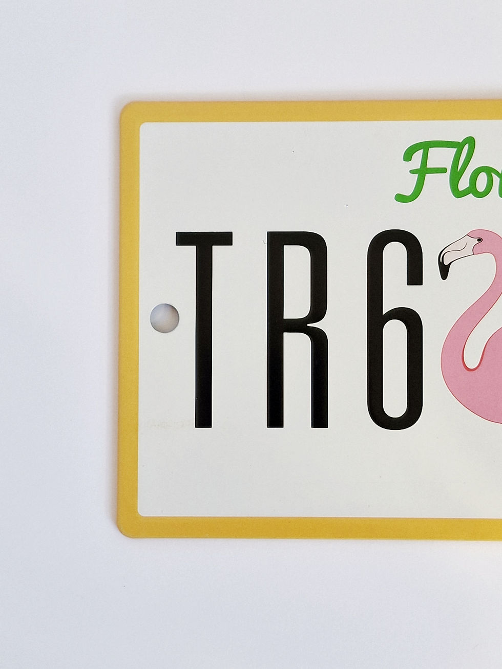 Miniature : Plaque décorative "Florida"