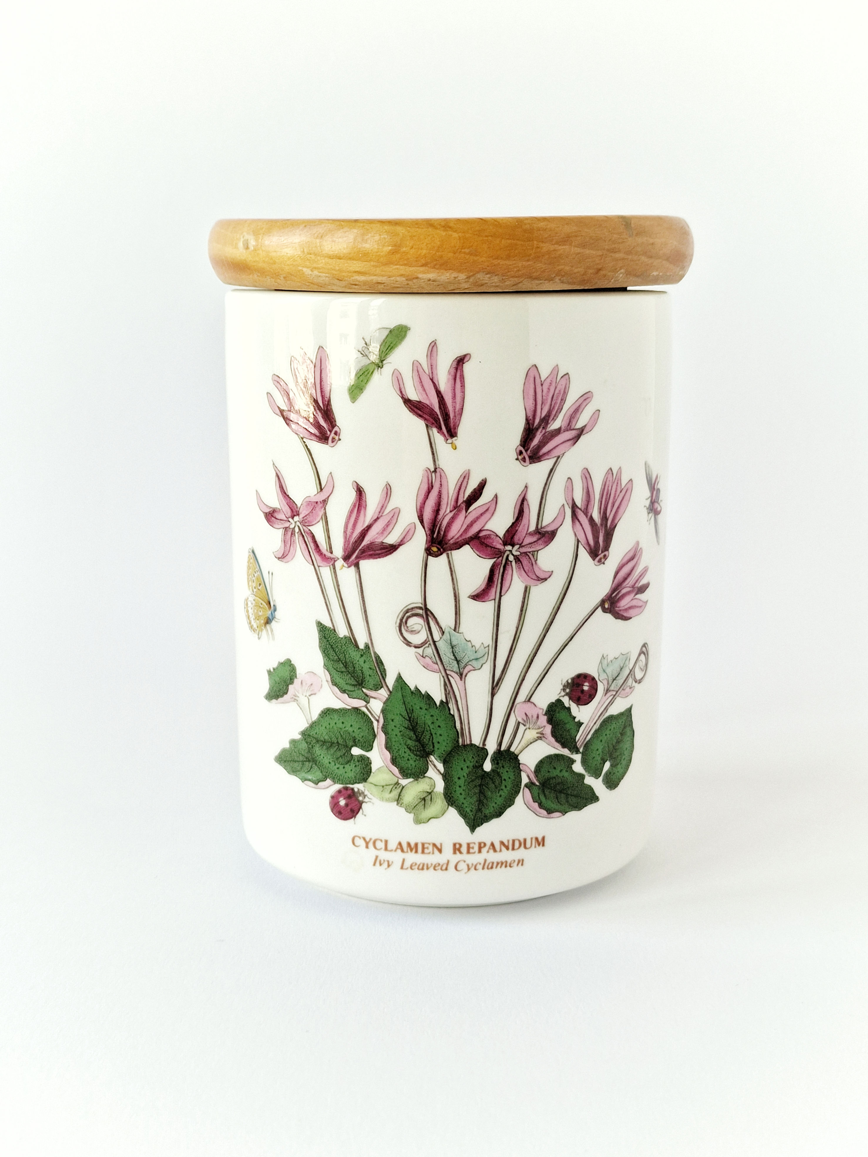 Bocal conservation "The Botanic Garden" Portmeirion