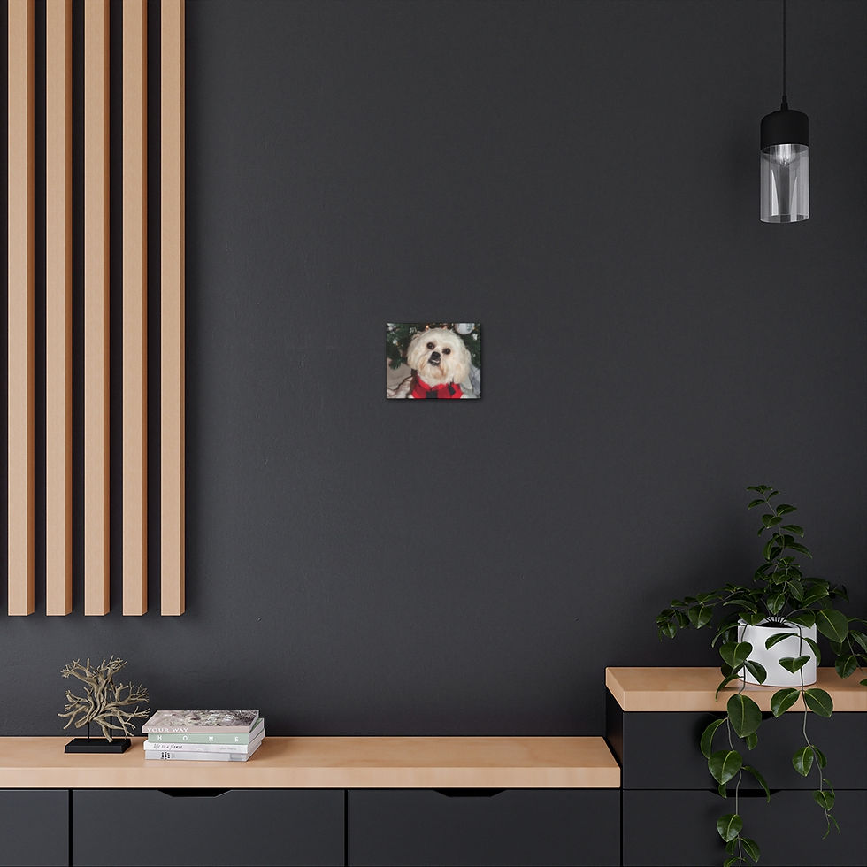 Thumbnail: Canvas Gallery Wraps