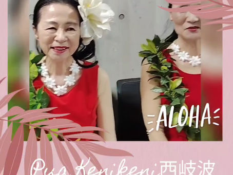 山口ホイケでPua Kenikeni西岐波チーム、アワプヒスイートを踊りました!