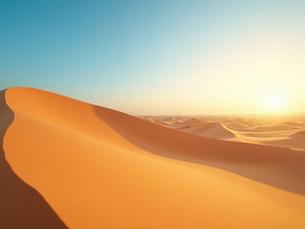 Exploring the Hidden Wonders of the Desert in the UAE