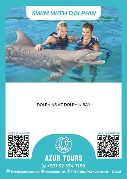 Swim with Dolphins at Atlantis Dubai