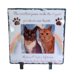 Rainbow Glitter Tumbler_20260104_163028_0000~2