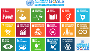 The 17 Sustainable Development Goals - Part 1