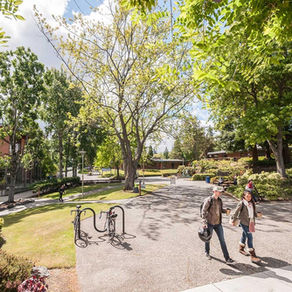//SCHOOL// Shoreline Community College