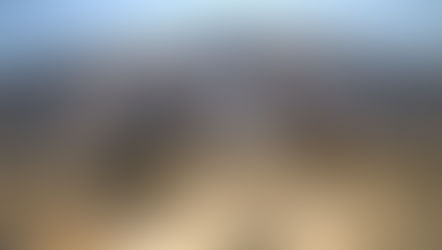 Here's how giant dinosaurs may have spread seeds in prehistoric world