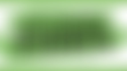 Event Lineup: Charleston, Charlotte & Columbia (12/18 - 12/24)