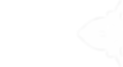 HG_Transparent2.png