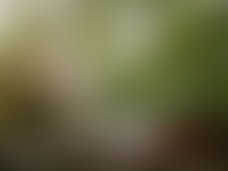 Top London Festival Picks for Summer 2025