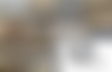 Integration Work Meetings – Strategic Partners