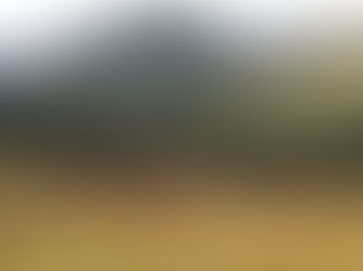 Living Stress Free: A Lesson from Nature