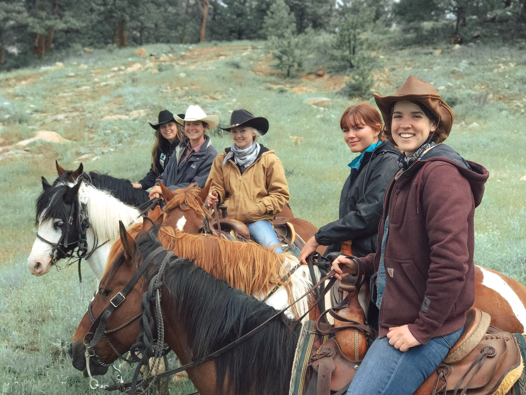 Memorable Mountain Horse Riding, Estes Park, Colorado