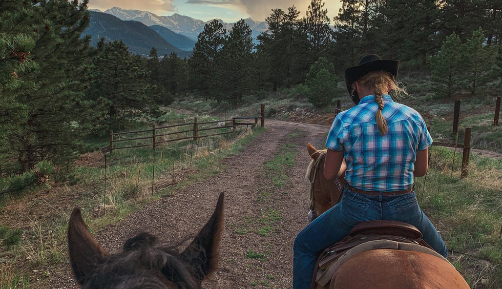 Riding Gallery Mountain Horseback Riding in Estes Park, Colorado