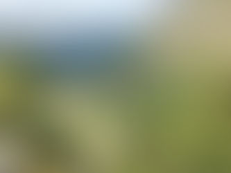 Do You Dream Of A Mountain Getaway?