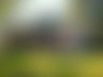 Top Reasons to Hire a Property Management Company for Your Rental Property
