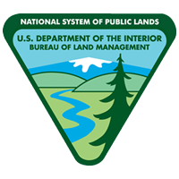BLM Logo