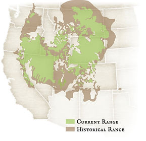 Greater sage-grouse range