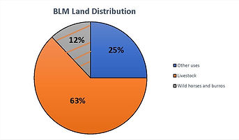 BLM Land Distribution Pie Chart Final Version