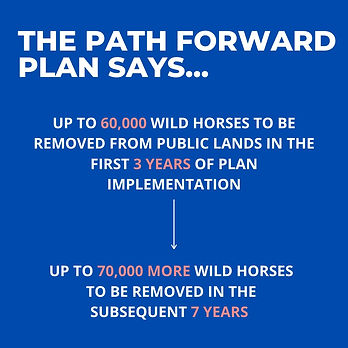 Path Forward Pic from the AWHC March 2020