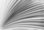 pages.jpg