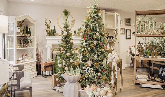 Holiday display 2024 wide view trees.jpg