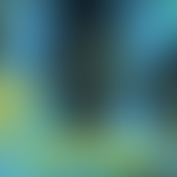 PROGRAMA LÍDER EM MIM®