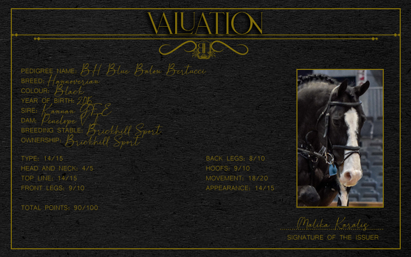 bonitacja_blue_balou