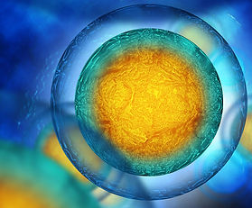 allogenic or autologous stem cell therapy provided intravenously or orthopedic joints for nonsurgical healing.