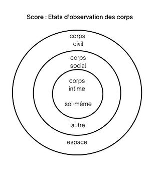 Frag-m-ile propositions artistique (1)_edited.jpg