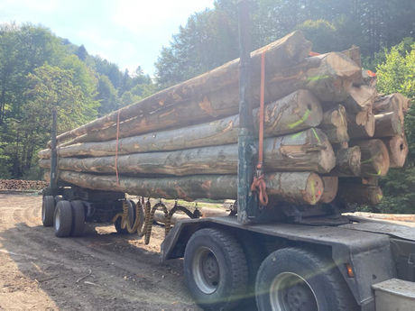 drewno kominkowe i opałowe