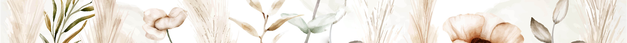 Website hearder background REV2_edited.j