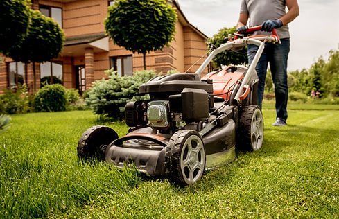 Year-Round Lawn Care You Can Rely On