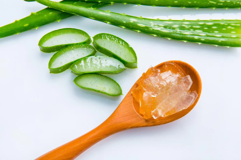aloe 2.webp