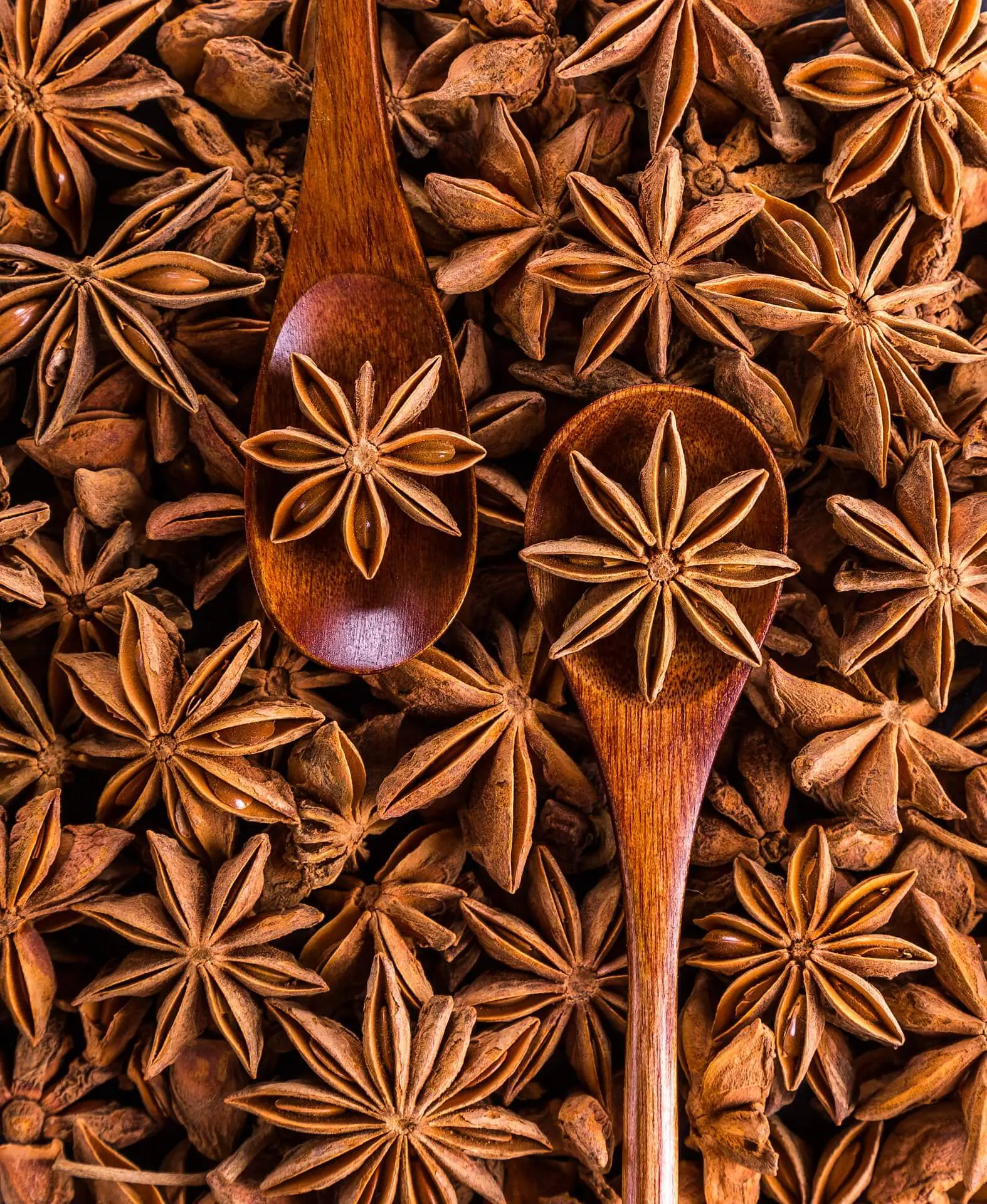 Star Anise.webp