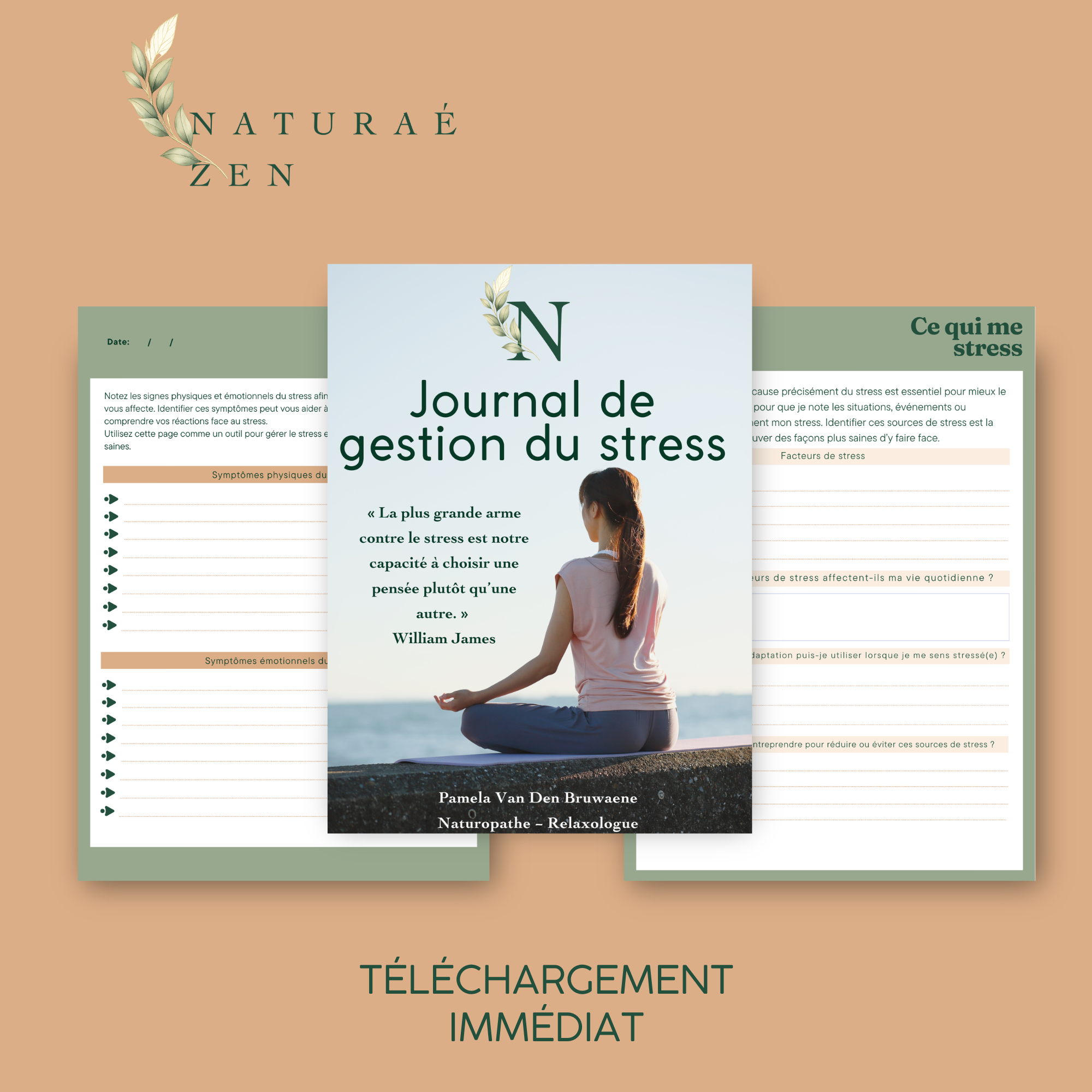 Journal de gestion du stress