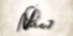 www.NoviOne7.comShopify.jpg