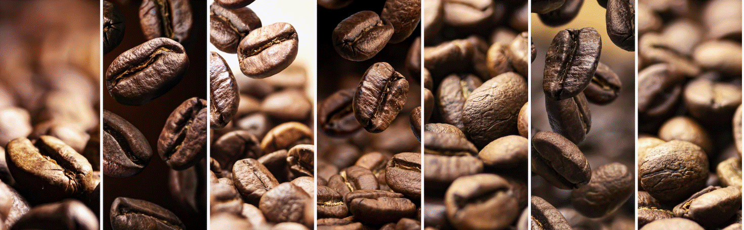 grain cafe.gif