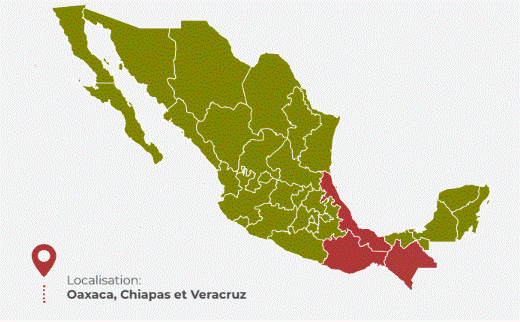 Miniature : café du Mexique "Le Tapachula"