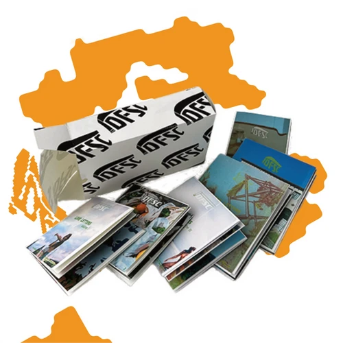 LOVE LETTERS ZINE BUNDLE | DFSC