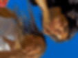 Thumbnail: CAFE DE LA OLLA